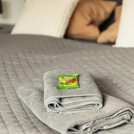 Weinblick Sauna-infrarot 2 Schlafzimmer Appart hôtel Sarrebourg